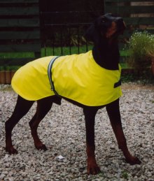 Hi Vis Dog Coat
